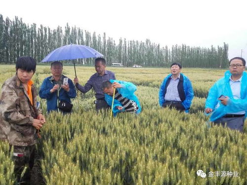 種業(yè)核心競(jìng)爭(zhēng)力與未來(lái)發(fā)展核心探析