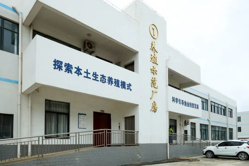 文昌馮家灣現(xiàn)代化漁業(yè)產(chǎn)業(yè)園 打造水產(chǎn)種業(yè)硅谷，讓水產(chǎn)住進(jìn)“別墅”