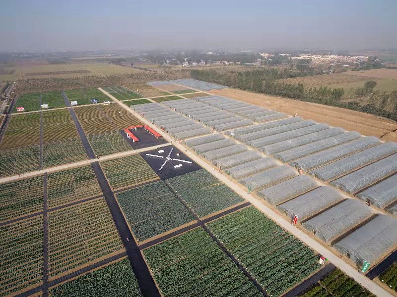 種業(yè)小鎮(zhèn)賦能農(nóng)業(yè)強'芯'，構(gòu)筑現(xiàn)代農(nóng)業(yè)新引擎