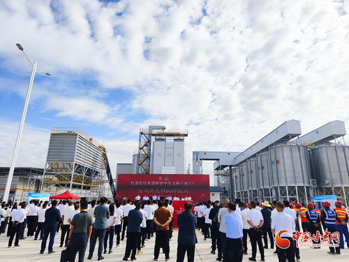 甘肅農(nóng)墾亞盛種業(yè)中墾玉種子加工廠在張掖落成，助力種業(yè)現(xiàn)代化發(fā)展